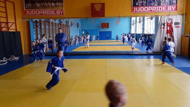 Самый большой зал в нашей стране 400 метров . Но место мало нашим львам) смотреть онлайн