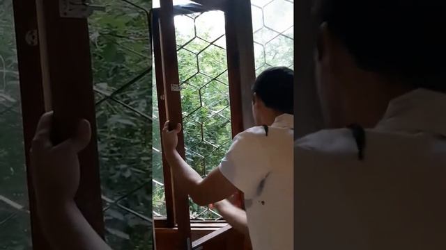 Домовладелец Профи