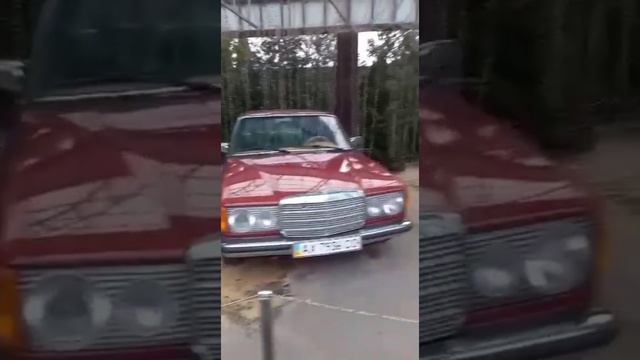 Mercedes Benz w123 смотреть онлайн