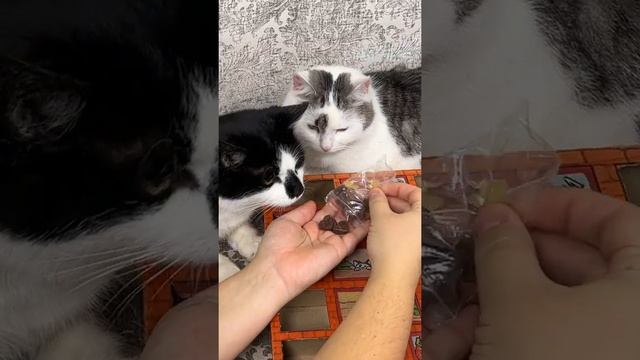 13 декабря Адвент календарь от А ну-ка Давай-ка #short смотреть онлайн