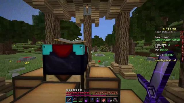 BLAZE X! - Blitz Survival Games #45 смотреть онлайн