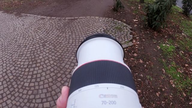Canon RF 70-200mm vs RF 50mm | zoom vs fixed focal length | EOS R, R5 and R6 [4K] смотреть онлайн
