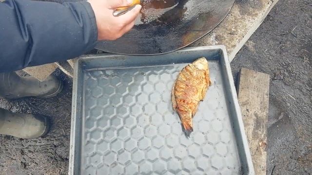 Жареный карась на сковороде из диска бороны смотреть онлайн