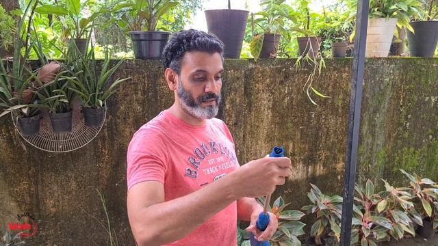 7500/- രൂപക്ക് ഒരു കിടിലൻ Pressure washer | Car washer | Cheap and best | How to use pressure washe смотреть онлайн