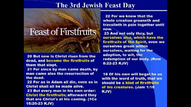 On the day of Christ's resurrection, the Priest waved the sheaf of First Fruits in the Temple смотреть онлайн