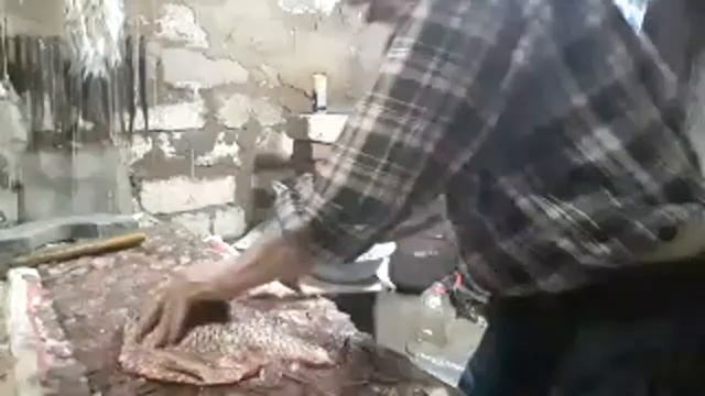 помогите почистить сазанов? смотреть онлайн