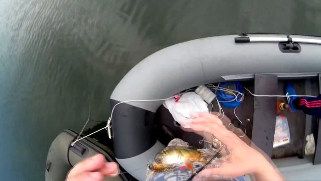 Минутка Шаблиша. смотреть онлайн