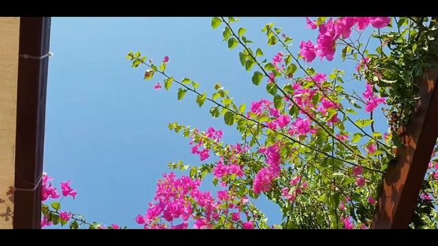 Отель PORT nature. Турция/Белек смотреть онлайн