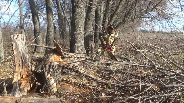 ЗА ВАЛЕЖНИКОМ! Законно или нет? смотреть онлайн