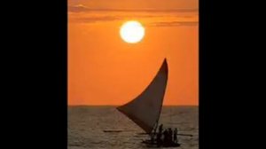 о голубка моя в неизвестном исполнении