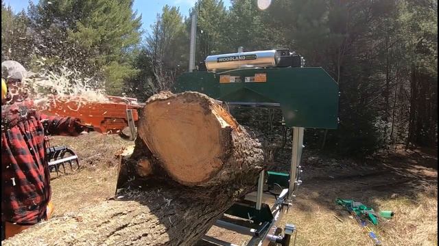 Bit Too Big for the Sawmill смотреть онлайн
