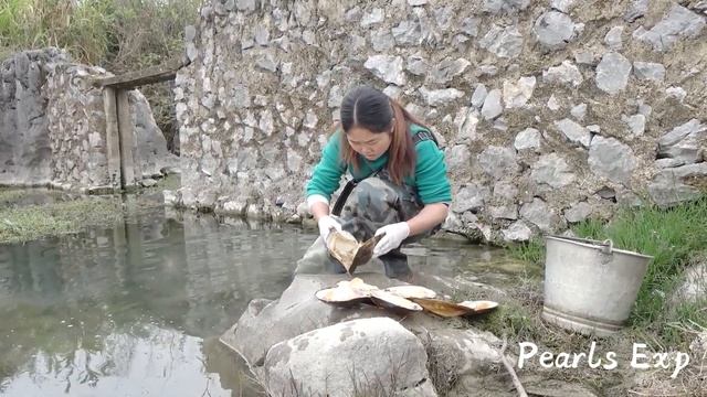 The pearl girl found mussels in the water pool, and the pearls she took out were really beautiful смотреть онлайн