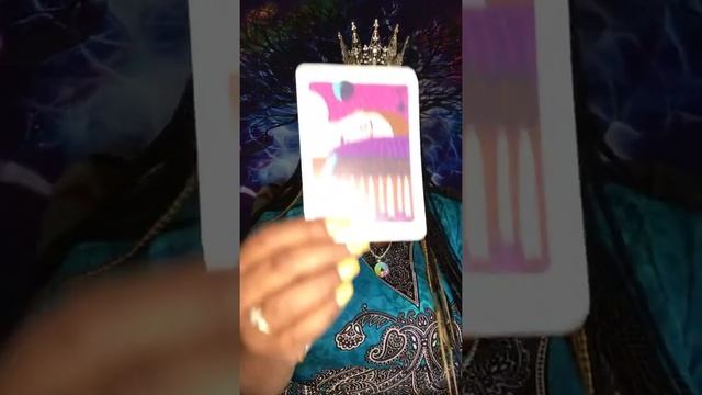 Aries Herbal plant Eucalyptus 3 card free reading смотреть онлайн
