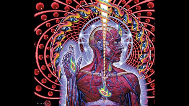 TOOL — Schism — Bass Backing Track