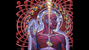 TOOL — Schism — Bass backing track