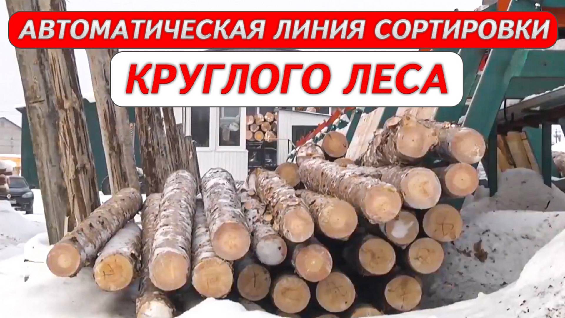 Автоматическая линия сортировки круглого леса Cronver LSB-16 смотреть онлайн