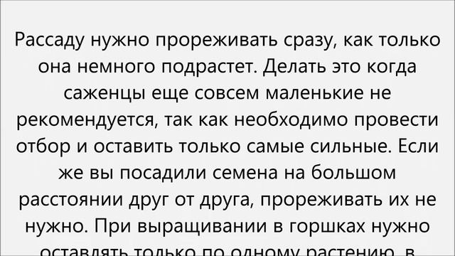 Как вырастить черри