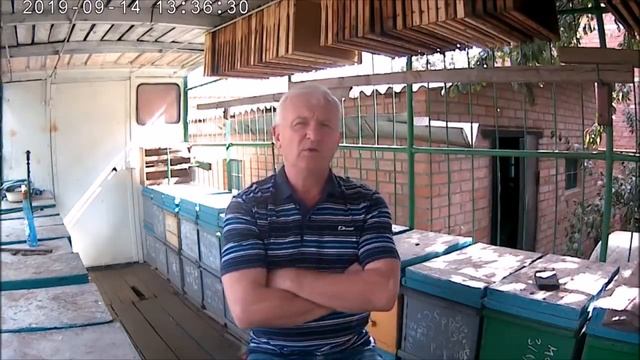 Затраты на перевозку,зимовку пчёл в горах Краснодарского края.Организация перевозки,зимовки пасеки. смотреть онлайн