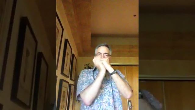 Ken Leiboff plays a "Hohner Blues Harp" MS смотреть онлайн