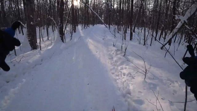 Прогулка на лыжах по зимнему лесу смотреть онлайн
