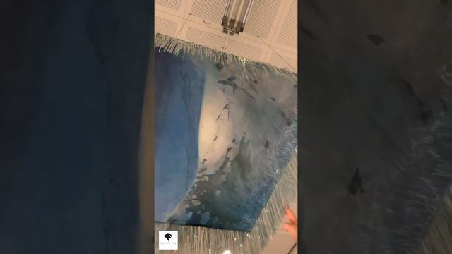 Visning: Sara Forsström смотреть онлайн