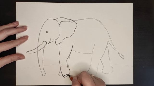 Рисуем слона смотреть онлайн