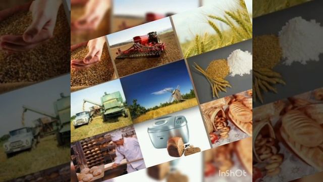 Сущность. Владимир Ружицкий смотреть онлайн