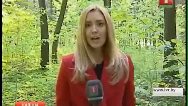 Очаги обитания клещей смотреть онлайн