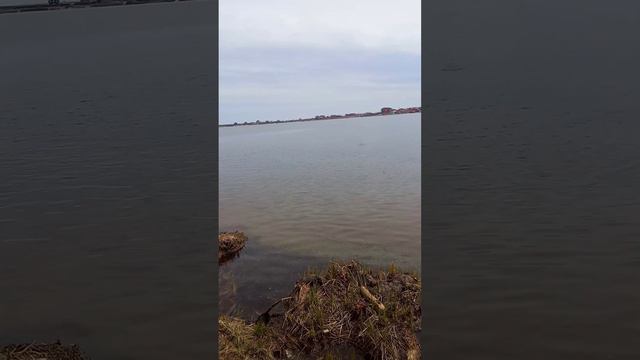 кунджа на тампон смотреть онлайн