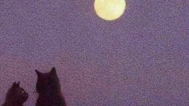 Demi Lovato - Dancing With The Devil (tradução/legendado) смотреть онлайн