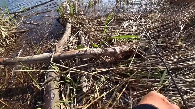 ТЕЙЛ-СПИНЕР нужен в коробке??? Рыбалка на хищника. смотреть онлайн