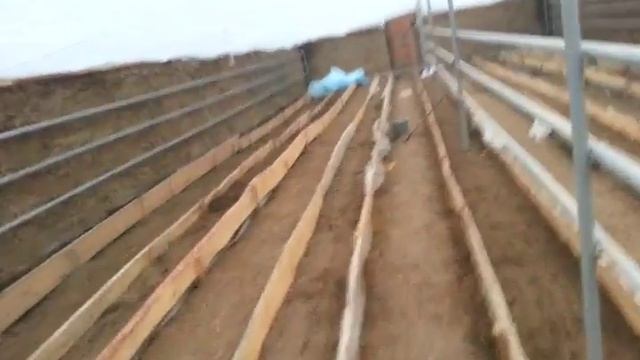 Калорифер 50кВт в теплице 640кв.м. пос. Турар смотреть онлайн