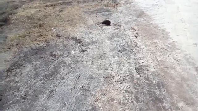 Выкладываю смотровую яму и подвал. смотреть онлайн