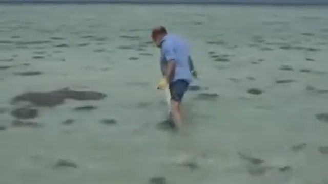 Большой Барьерный риф Great Barrier Reef 1 смотреть онлайн