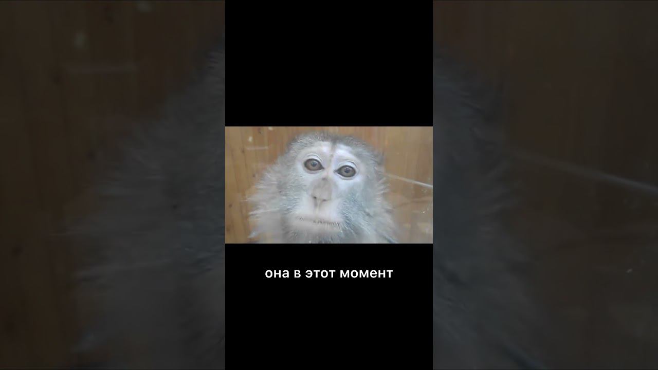 Не виноватая я смотреть онлайн