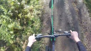 Байкджоринг