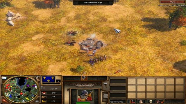 [Age of Empires III - Sunny] France free for all - Gameplay AI | Pháp một cho tấc cả | Chinh phục смотреть онлайн
