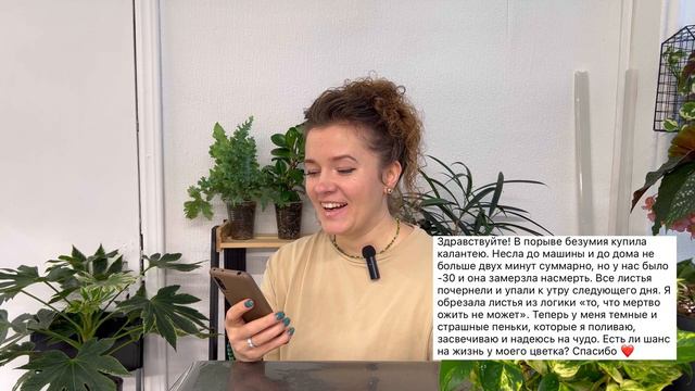 Ответы на вопросы про растения (2) смотреть онлайн