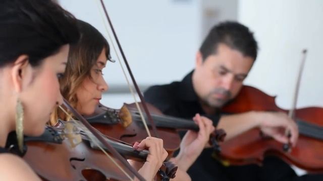 TEMPUS QUARTET VIOLINES - Bodas Y Eventos Religios