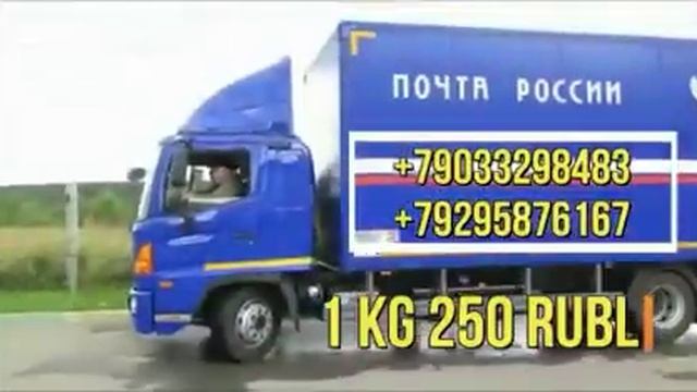 #почта Москва Ташкент карго, посылка, почта хизмати. Санкт-Петербург Ташкент посылка доставка 100% смотреть онлайн