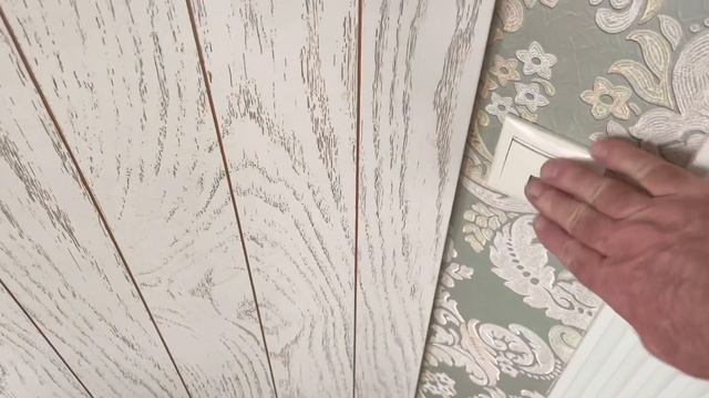 Запрет ? на съёмку французских бульдогов !!! смотреть онлайн