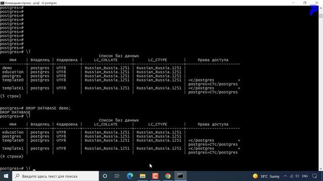 #17 Demo database o'rnatish смотреть онлайн