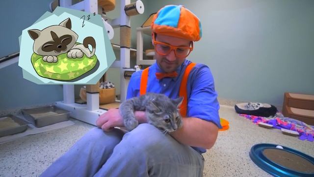 BLIPPI Visita um Abrigo de Animais! | Vídeos Educativos | Blippi em Português! смотреть онлайн