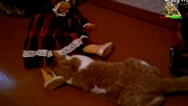 Смешные коты и кошки 2017. Приколы с котами и кошками. смотреть онлайн