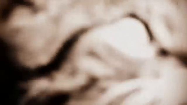 Голуби такие голуби... смотреть онлайн