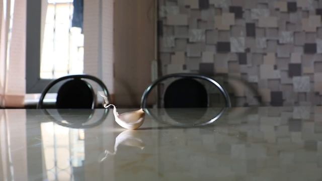 DAHSHAT ! CHESNOKNI YOSTIQ TAGIGA QO`YIB YOTSA NIMA BO`LISHINI BILASIZMI ?? смотреть онлайн