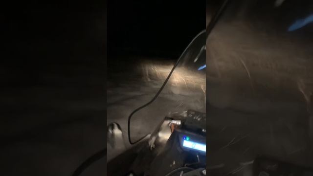 Снегоход irbis Tungus 600 смотреть онлайн