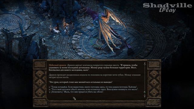 Нунфрост и Небесный дракон ⚔ Pillars of Eternity Прохождение игры #38 смотреть онлайн