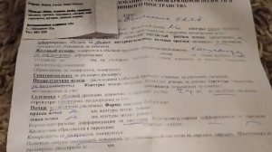 Обнаружили у собаки шишку на животе | Итоги