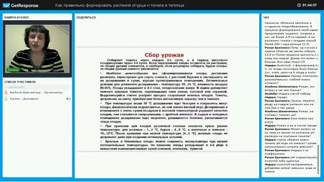 Генеративное и вегетативное развитие томатов смотреть онлайн
